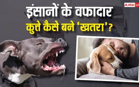 Explained: 20 हजार साल पुरानी दोस्ती खत्म! डॉग्स क्यों बन रहे इंसानों के 'कातिल', भेड़ियों से वफादार कुत्ते बनने की कहानी क्या?
