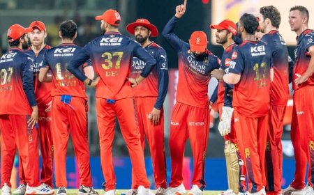 RCB के बाद बिकने जा रही एक और पूर्व IPL चैंपियन टीम, नए खुलासे से सब हैरान