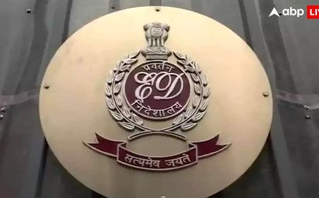 अवैध बेटिंग ऐप मनी लॉन्ड्रिंग केस: ड्राइवर के अकाउंट से 331 करोड़ का खेल, VIP शादी की फंडिंग पर भी ED को शक