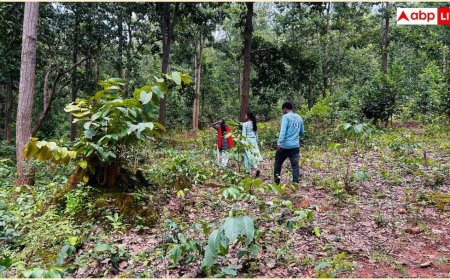 जल-जंगल और जमीन के लिए लगाया 'चौका', दुनिया को दे रहे नई सीख