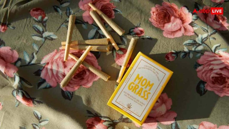 Herbal Cigarettes: क्या हर्बल सिगरेट से भी हो सकता है कैंसर, जानें कैसे करती है ये नुकसान