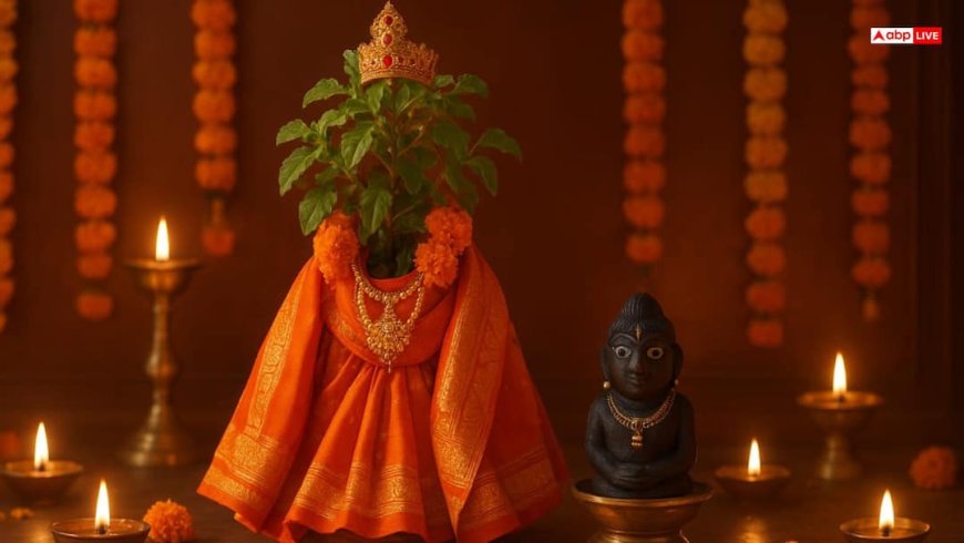 Tulsi Vivah 2025: तुलसी विवाह से दूर होंगी परेशानियां, जानें इस दिन क्या करें, क्या नही करें
