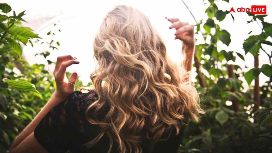 बार-बार ऑयली हो रहे बाल? जानें स्कैल्प में छिपी वजहें और इन्हें कंट्रोल करने के तरीके