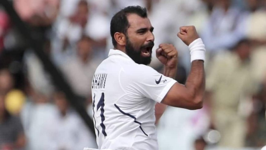 टीम इंडिया हारी, उधर मोहम्मद शमी ने रणजी ट्रॉफी में उड़ाया गर्दा; दूसरे टेस्ट में मिल सकता है मौका?