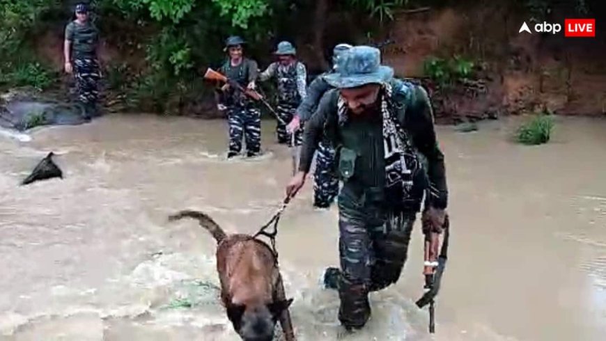 30 सालों में 200 से ज्यादा जवानों की मौत का जिम्मेदार! 1 करोड़ के ईनामी नक्सली हिडमा को सुरक्षाबलों ने किया ढेर