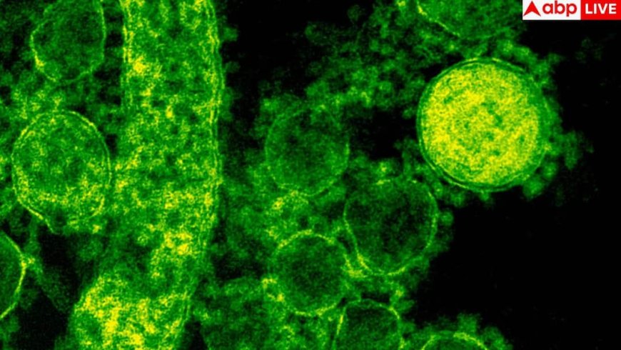 Viral Infection: देश में वायरल इंफेक्शन बढ़ा तो डॉक्टरों ने किया अलर्ट, डरा देगी ICMR  की रिपोर्ट