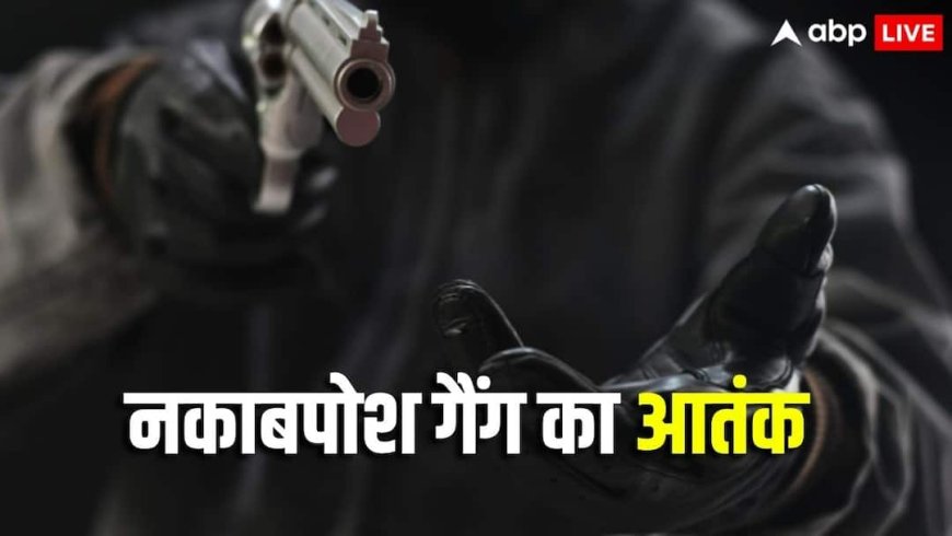 पहले टायर किया पंचर, फिर हथियार लेकर पहुंचे, 223 ग्राम सोना-डेढ़ लाख कैश लूटा... NH-65 पर फिल्मी स्टाइल में लूट