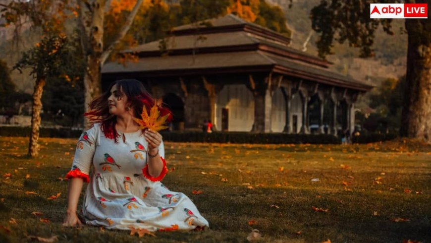 Mystical Kashmir: IRCTC का  शानदार टूर पैकेज, सिर्फ इतने रुपये में मिलेगा मिस्टिकल कश्मीर की सैर का बेहतरीन मौका