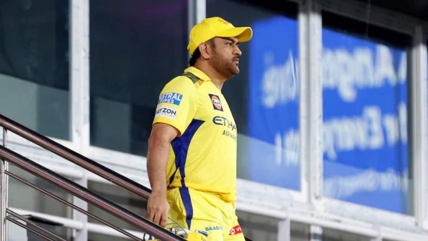 IPL को अलविदा कहेंगे एमएस धोनी! ये 3 खिलाड़ी भी इस सीजन के बाद ले लेंगे संन्यास? लिस्ट कर देगी हैरान
