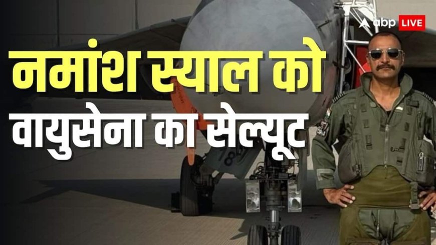 लड़ाकू विमान के पास खड़े स्याल की तस्वीर पोस्ट कर क्या बोली वायुसेना, शेयर किया अंतिम विदाई का वीडियो