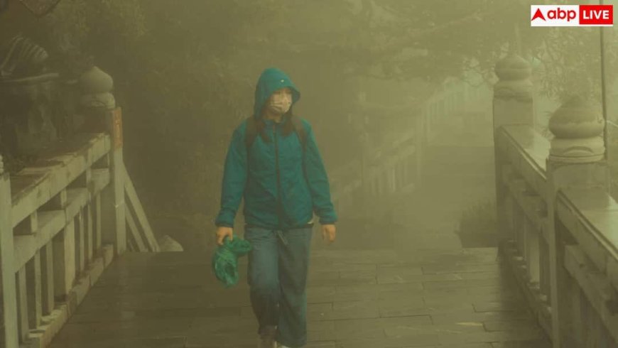 Walk Benefits: मॉर्निंग वॉक या इवनिंग वॉक, वजन घटाने के लिए दोनों में से कौन ज्यादा बेहतर?