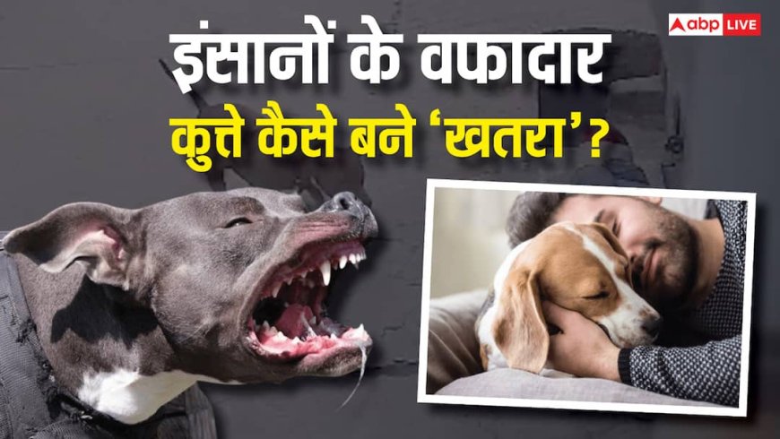 Explained: 20 हजार साल पुरानी दोस्ती खत्म! डॉग्स क्यों बन रहे इंसानों के 'कातिल', भेड़ियों से वफादार कुत्ते बनने की कहानी क्या?