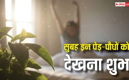 Morning Vastu Tips: सुबह उठते ही इन पेड़-पौधों के दर्शन हो जाएं, तो समझिए दुख दरिद्रता हुई दूर