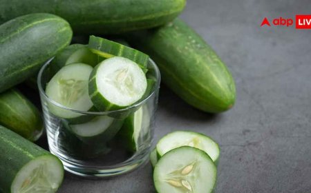किन लोगों को गलती से भी नहीं खाना चाहिए खीरा? जानें इसके साइड इफेक्ट्स, एलर्जी और अन्य खतरे