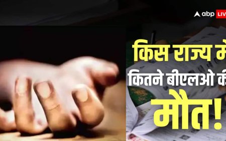 ओवरलोड, स्ट्रेस और सुसाइड… SIR ड्राइव में 27 दिनों में 32 BLO की मौत से हड़कंप, सामने आई पूरी लिस्ट