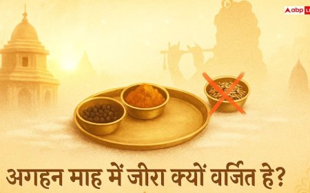 Aghan Mahina: अगहन माह में जीरा सेवन क्यो है वर्जित, जिससे पड़ता है स्वास्थय पर असर! जानें धार्मिक और आयुर्वेदिक कारण