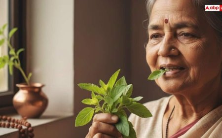 Tulsi: तुलसी पत्ते को चबाने से क्यों रोकते हैं धर्म और विज्ञान, वजह जान चौंक जाएंगे