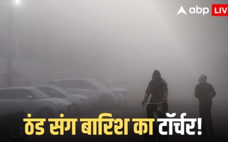 Weather Update: शीतलहर, कोहरा और बारिश, मौसम विभाग ने जारी कर दी चेतावनी, जानें यूपी, दिल्ली से लेकर बिहार तक का मौसम