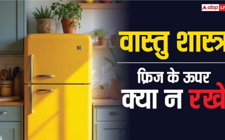 Fridge Vastu Tips: फ्रिज के ऊपर न रखें ये चीजें, होगा भयंकर वास्तु दोष, रुक जाएगी बरकत