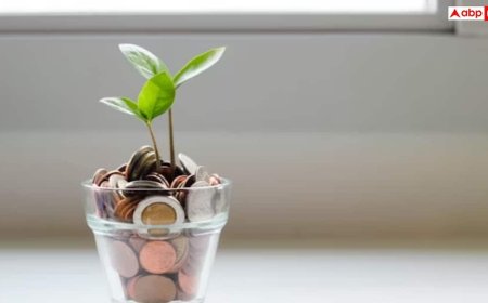 सही प्लानिंग से बढ़ सकता है FD पर रिटर्न, जानें वो टिप्स जो ज्यादातर लोग नहीं जानते