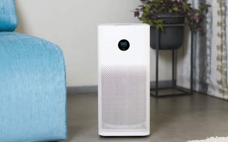 जहरीली हवा से बचने का सहारा बने एयर प्यूरिफायर, इस साल 30 प्रतिशत बढ़ गई बिक्री