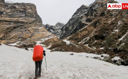 चोपता से केदारकांठा तक, पहली बार ट्रैक करने वालों के लिए उत्तराखंड के सबसे आसान विंटर ट्रैक