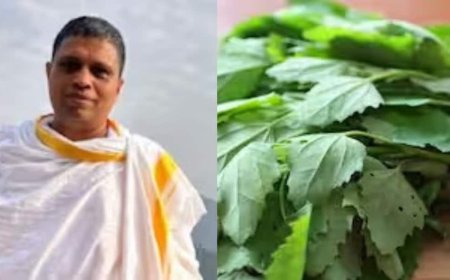 सर्दियों का सुपरफूड: बथुआ खाने से किडनी और लिवर को मिलेगी नई जान, आचार्य बालकृष्ण ने बताए फायदे