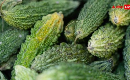 मसालेदार भरवा करेला ऐसे बनेगा परफेक्ट, जानें कुकिंग एक्सपर्ट की आसान रेसिपी