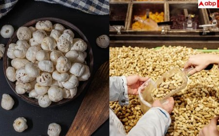 Low Calorie Snacks: मूंगफली या मखाना... वजन घटाने के लिए कौन-सा स्नैक्स बेस्ट? देख लें पूरी रिपोर्ट