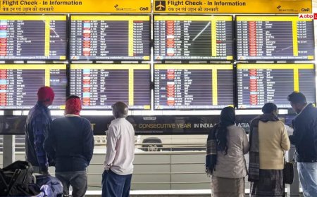 इंडिगो संकट मामले को लेकर सरकार सख्त, DGCA ने CEO को भेजा शो-कॉज नोटिस, गठित हुई कमेटी