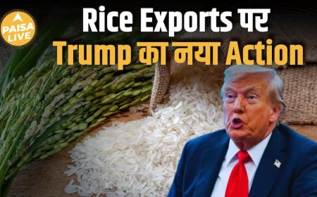 Indian Rice Industry को सबसे बड़ा झटका? Trump का नया Trade Move