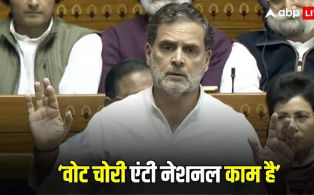 'वोट चोरी से बड़ा कोई राष्ट्र विरोधी काम नहीं', लोकसभा में राहुल गांधी ने भाजपा पर साधा निशाना, जानें RSS को लेकर क्या कहा?