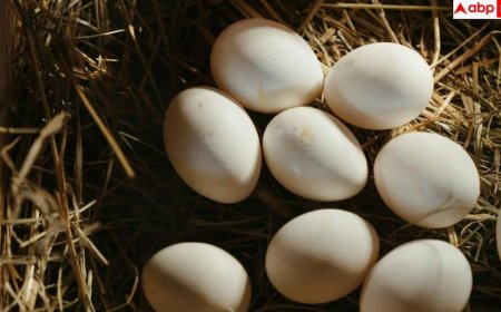 Egg Storage: क्या फ्रिज में रखने से सड़ जाते हैं अंडे या रहते हैं फ्रेश? जान लें अपने काम की बात
