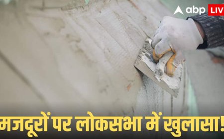 MNREGA Job Cards: मनरेगा सूची से 16.31 लाख मजदूरों के नाम हटाए गए, केंद्र ने जानें लोकसभा में क्या कहा?