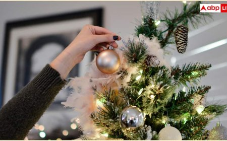 Christmas 2025 Decoration: घर पर कागज से कैसे बनाएं सुंदर क्रिसमस ट्री? बच्चों संग ऐसे करें सजावट