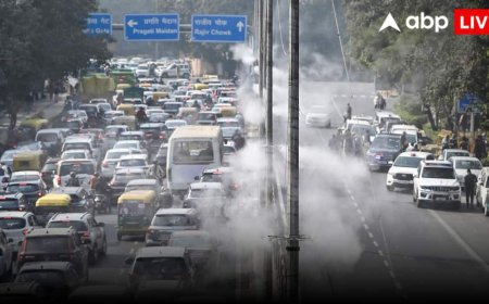 India Air Pollution: 'WHO की एयर क्वालिटी रैंकिंग आधिकारिक मानक नहीं', AQI  रैकिंग पर संसद में बोली भारत सरकार