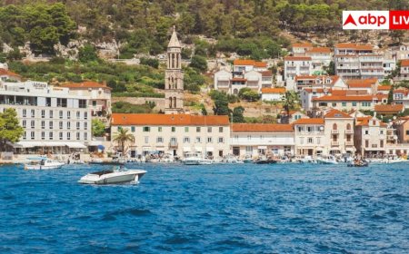 2026 की टॉप ट्रैवल लिस्ट जारी, कनाडा की झीलों से लेकर कैरेबियन के व्हेल रिजर्व तक ये हैं सबसे हॉट डेस्टिनेशन