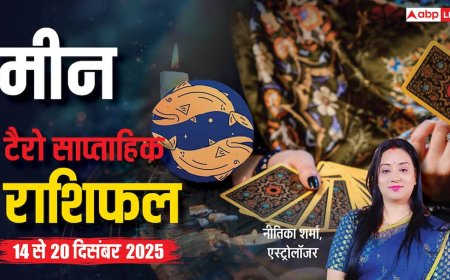 मीन साप्ताहिक टैरो राशिफल (14 से 20 दिसंबर 2025): व्यापारियों के लिए यह सप्ताह लाएगा लाभ और साझेदारी के मौके
