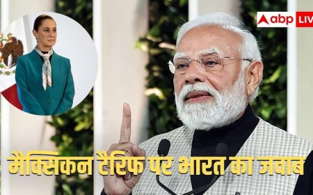 'एक्स्ट्रा टैरिफ से रिश्ते बिगड़ सकते हैं, बातचीत से...', मैक्सिको के 50% टैरिफ पर भारत ने क्या जवाब दिया?
