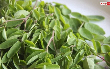 ब्लड शुगर और बढ़े कोलेस्ट्रॉल से परेशान हैं? मोरिंगा पत्तों का सेवन दे सकता है राहत