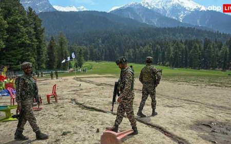 Pahalgam Terror Attack: लश्कर के टॉप कमांडर साजिद जट्ट ने रची थी पहलगाम हमले की साजिश, NIA ने दायर की चार्जशीट