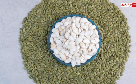 प्रेग्नेंसी में होने लगी है आयरन की कमी? इन सीड्स से भरपूर मिलेगा फायदा