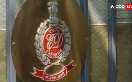 'गंदे पानी से लोगों और पर्यावरण को नुकसान, कंपनी को फायदा...', अंसल ग्रुप के खिलाफ ED की चार्जशीट दाखिल