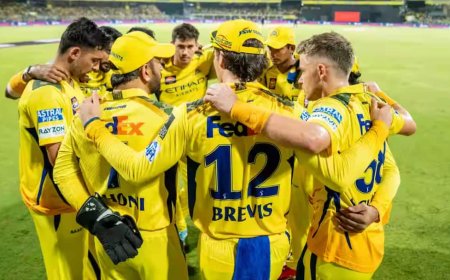 IPL 2026 CSK Squad: चेन्नई ने ऑक्शन में खरीदे 9 खिलाड़ी, देखें नीलामी के बाद कैसी दिखती है धोनी की पूरी टीम