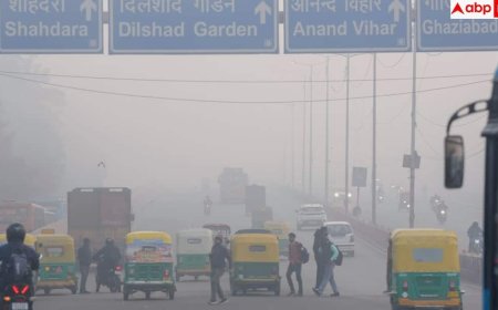 Toxic Air Health Impact: दिल्ली के 500 एक्यूआई में कौन-सा मास्क कामयाब और कौन-सा नहीं? जानें काम की बात