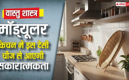 Vastu Tips: प्रीति ने अपने मॉड्यूलर किचन में रखी बांस की सुपड़ी, इस देसी चीज से लौट आई सकारात्मक ऊर्जा