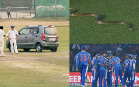 पिच पर कार, कभी सांप तो कभी उड़ने वाली चींटियां... क्रिकेट मैच रोके जाने के अजब-गजब कारण