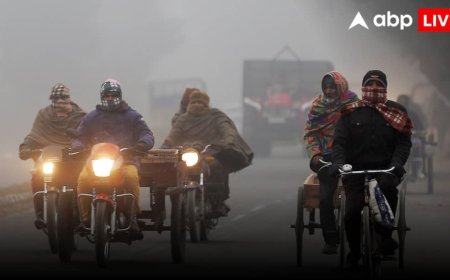 IMD Weather Update: 'कोहरा बढ़ेगा, विजिबिलिटी घटेगी, भयंकर होगी ठंड', यूपी, दिल्ली, बिहार समेत देश में 2 दिन कैसा रहेगा मौसम