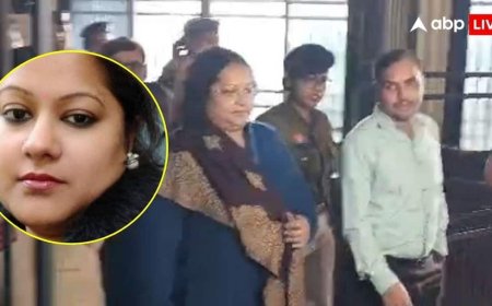 3 साल में 115 करोड़ कमाई? छत्तीसगढ़ के बहुचर्चित शराब घोटाले में बड़ी कार्रवाई, सौम्या चौरसिया गिरफ्तार