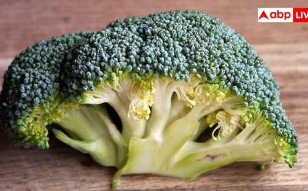 सर्दियों में ब्रोकली क्यों बन रही सुपरफूड? जानिए इम्युनिटी से स्किन तक कितने मिलते हैं फायदे